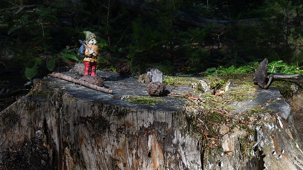 vignette